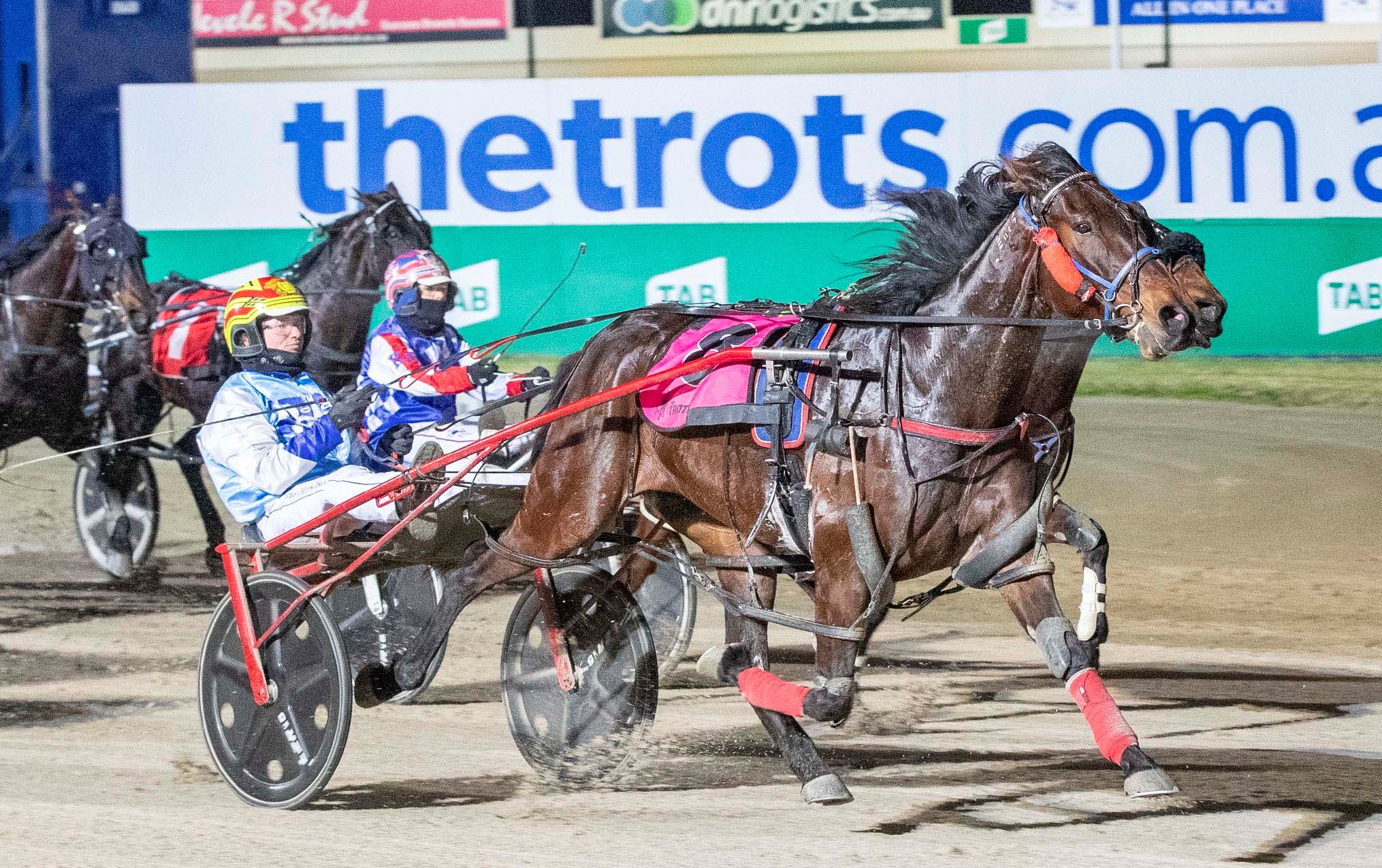 Trots Centre Herbertson flying after stint on the sidelines Harness Racing Victoria